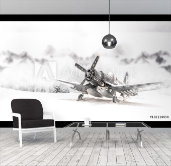 Picture of World war II military aircraft with heavy snowfall